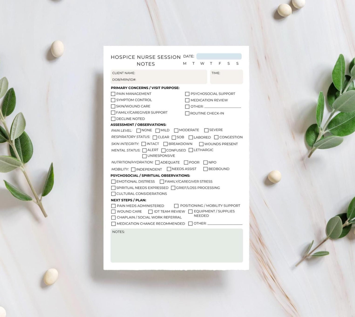 Hospice Nurse Session Notes Notepad Daily Visit Documentation Pad for End-of-Life Care Palliative Care, and Home Health Nursing Hospice gift