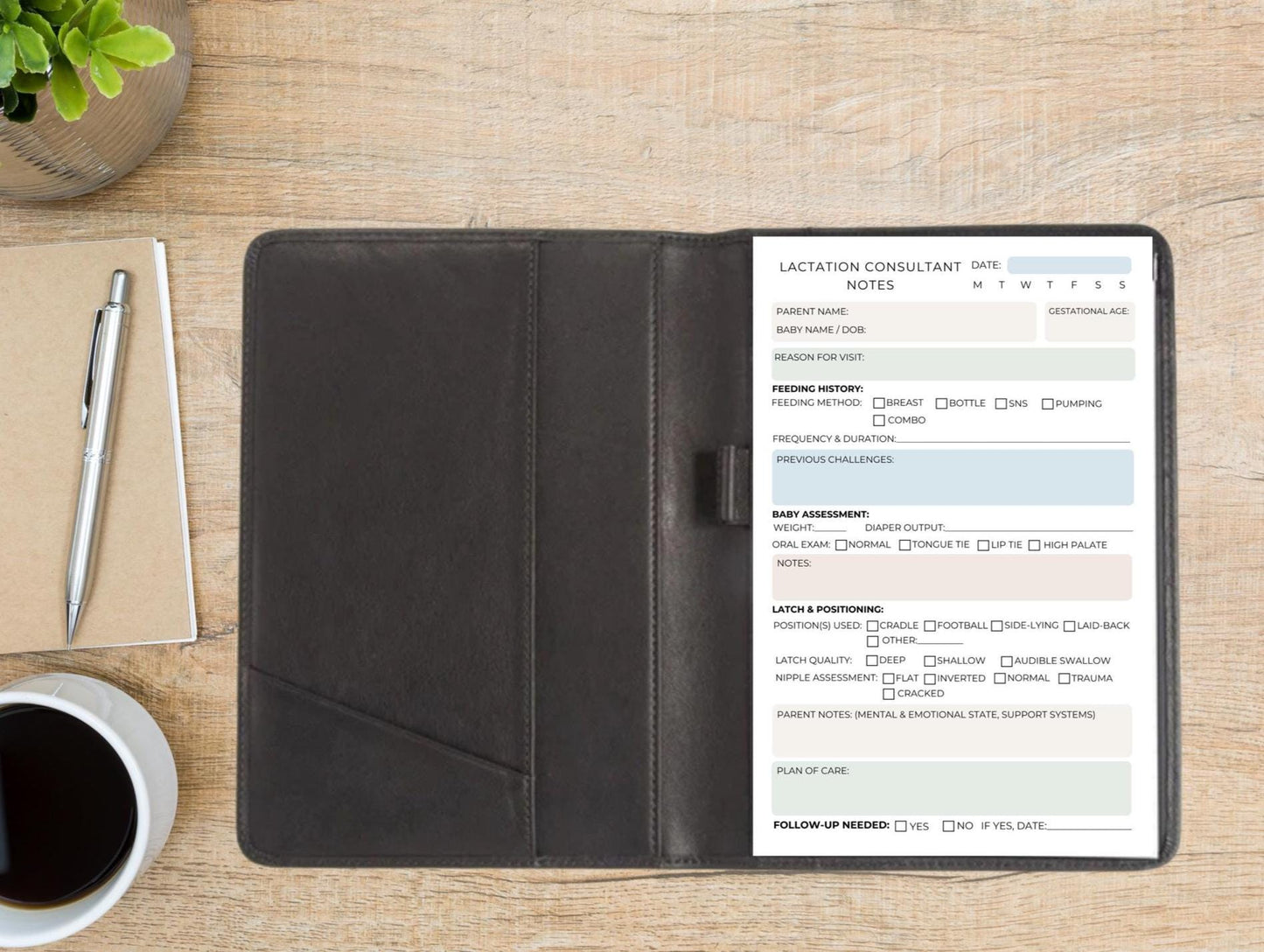 Lactation Consultant Notepad Breastfeeding Session Notes IBCLC Assessment Pad Client Tracker for Baby Feeding & Latch Postpartum Care Tool
