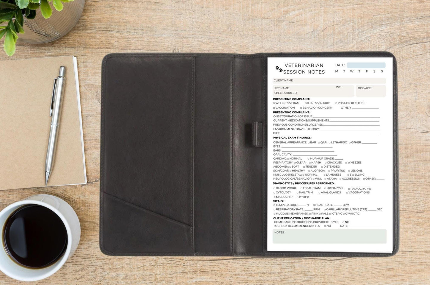 Veterinarian Session Notepad | Veterinary Client Visit Notes Vet SOAP Format Pad | DVM Patient Charting Sheet | Vet Clinic Supplies