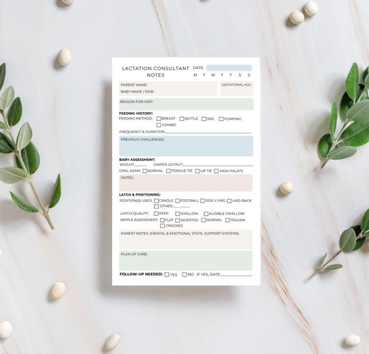 Lactation Consultant Notepad Breastfeeding Session Notes IBCLC Assessment Pad Client Tracker for Baby Feeding & Latch Postpartum Care Tool