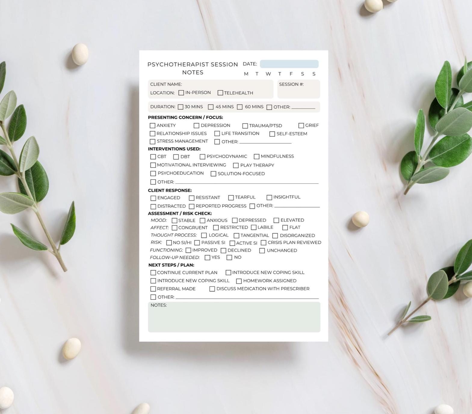 Psychotherapist Session Note Notepad | Therapy Progress Notes Pad | Mental Health Documentation | 5.5x8.5” | 50 Tear-Away Sheets